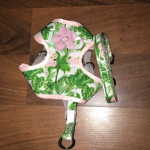 Small cat or dog leash/Harness